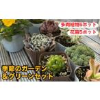 苗木 811.季節のガーデン&グリーンセット