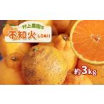 みかん 柑橘類 デコポン 村上農園 不知火 3kg