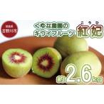 ふるさと納税 果物類 徳島県 吉野川市 訳あり キウイフルーツ 紅妃 2.6kg 先行予約 2025年10月上旬〜 年内に発送予定 紅妃 レインボーレッド キウイ 国産 果物…