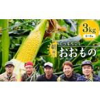 とうもろこし 令和8年産 朝採り 農家直送