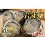 ふるさと納税 牡蠣 生牡蠣 愛媛県 愛南町  数量限定 先行予約 岩牡蠣 Ｍサイズ 約 1kg （4〜5個） 10000円 いわがき 殻付き 岩がき 殻付 岩カキ 岩かき かき …