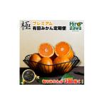 果物類 みかん 極プレミアム 有田みかん 定期便 10kg×3回
