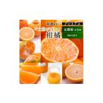 果物類 みかん 10~12月 柑橘 定期便 全3回