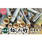 インテリア 竹 切った竹 モウソウチク 北限の竹