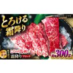 馬肉 こだわりの馬刺し 霜降りブロック 約300g