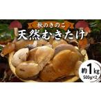 fu.... налог овощи вид .. . Yamagata префектура - 2026 год 10 месяц средний ... отправка осенний .. . натуральный ....1kg(500g×2 пакет ) F2Y-6171