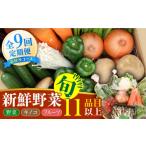セット 詰合せ 春秋冬 コース 野菜 キノコ 果物