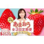 ふるさと納税 いちご 福岡県 赤村  あまおう 定期便 全3回 福岡県産あまおう 約270g 前後 ×２パック いちご イチゴ あまおう 福岡限定 ブランド 果物 フルー…