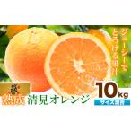 みかん 柑橘類 熟成 清見オレンジ 10kg