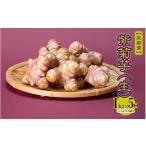 野菜類 定期便 紫菊芋 生 1kg×5回