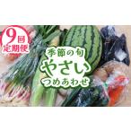 セット 詰合せ 定期便9回 季節の旬野菜詰め合わせ