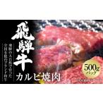ふるさと納税 牛肉 焼肉・バーベキュー 岐阜県 白川村 飛騨牛 カルビ焼肉 500g 冷凍真空パック 飛騨高山ミート | 肉 お肉 焼肉 焼き肉 やきにく 黒毛和牛 和牛…
