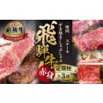 牛肉 焼肉 バーベキュー 飛騨牛 定期便 全3回