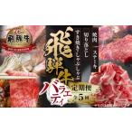 牛肉 焼肉 バーベキュー 飛騨牛 定期便 全5回