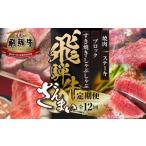 牛肉 焼肉 バーベキュー 飛騨牛 定期便 全12回