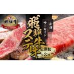 牛肉 焼肉 バーベキュー 飛騨牛 定期便 全3回