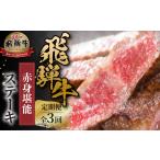 全3回 飛騨牛 赤身 ステーキ 肉 赤身肉 小分け 100g×3P