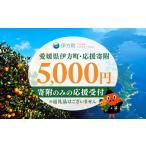 自治体にお任せ 返礼品なし 応援寄附5 000円
