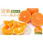 ふるさと納税 みかん・柑橘類 和歌山県 有田川町 年内発送指定 完熟 アルギット みかん 5kg M 〜 L サイズ 発送期間:2025年12月21日〜12月30日 先行予約 み…