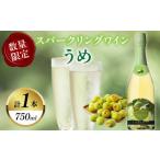 ふるさと納税 ワイン スパークリングワイン 宮崎県 都農町 数量限定 スパークリングワインうめ(計1本) 酒 飲料 アルコール 国産_T014-030
