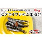 魚貝類 地元で50年続く鮮魚店が作る 珍しい九十九里産セグ…
