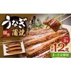 うなぎ 4ヶ月定期便 蒲焼きうなぎ 3尾