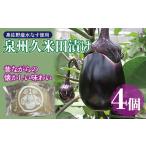 ふるさと納税 野菜類 茄子 大阪府 泉佐野市 泉州特産 水なす ぬか漬け 4個 泉州久米田漬け 水茄子 なす 旬 野菜 おつまみ 訳あり サイズ不揃い