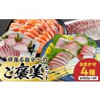 魚貝類 頑張る自分へのご褒美セット N072-YB093