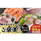 魚貝類 6ヶ月定期便 頑張る自分へのご褒美セット