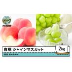 ショッピングふるさと納税 シャインマスカット ふるさと納税 もも 山形県 大石田町  先行予約 もも 白桃 シャインマスカット 秀品 詰め合わせ 2kg フルーツ 果物 ぶどう 令和8年産 2026年産 山形県産 ns-fsh…