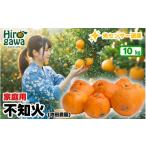 ふるさと納税 みかん・柑橘類 デコポン 和歌山県 広川町 不知火 （ しらぬい ） 10kg+250g（痛み補償分） 家庭用 光センサー ／ デコポン 訳あり 甘い 和歌山 …