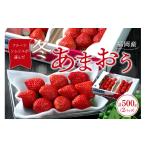 いちご フルーツソムリエが選んだ福岡産