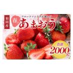 フルーツソムリエが選んだ福岡産 あまおう8パック