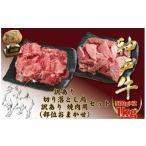 ふるさと納税 牛肉 兵庫県 宝塚市 神戸牛(神戸ビーフ) 訳あり 切り落とし肉と焼肉用(不揃い)セット 500gずつ 計1kg BBQ 肉 国産 牛肉 神戸牛 神戸ビー…