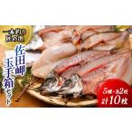 干物 サバ 一本釣り 匠の漁 佐田岬 玉手箱セット