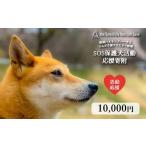 地域のお礼の品 那須ハイ&りんどう湖 SOS保護犬活動