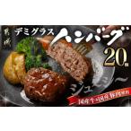 ふるさと納税 肉 宮崎県 都城市 国産の牛豚合挽 デミグラスハンバーグ20個_MJ-3648_(都城市) _デミグラス ハンバーグ 沸騰 簡単 ボイル 合挽き 真空個包装