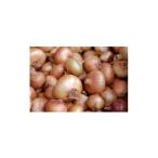 fu.... налог овощи вид шар лук порей Hokkaido . хорошо . город склон . сельское хозяйство производство шар лук порей 10kg 1629670