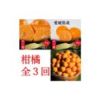 ショッピング甘平 ふるさと納税 果物類 みかん 愛媛県 八幡浜市  発送月固定定期便 訳あり 甘平 せとか みかん H83-51 全3回 4068840