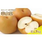 ふるさと納税 梨 長野県 飯田市 8月中旬より発送予定 南信州産 幸水 梨 約5kg 光センサー 選果機 選別 旬 の 甘い 完熟 梨 | 長野県 飯田市