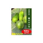 果物類 1044 濃姫パパイヤ 約2kg