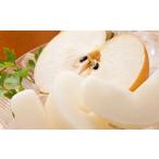 ふるさと納税 梨 熊本県 熊本市 訳あり 梨 3kg なし ナシ くだもの 果物 フルーツ 国産 九州 熊本県 熊本市 冷蔵 2025年8月上旬〜10月上旬迄発送予定