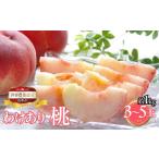 ふるさと納税 もも 山梨県 笛吹市  2026年発送 先行予約 山梨県笛吹市産　ご家庭用桃(わけあり)　1kg　3玉〜5玉 223-015-26y