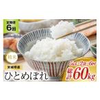 ふるさと納税 米 ひと