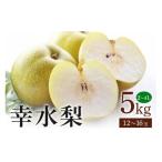 ふるさと納税 梨 茨城県 石岡市 幸水梨 箱込約 5kg(JA新ひたち野)梨 約 12玉 〜 16玉 品種 幸水 なし ナシ 果物 フルーツ 4L 3L 2Lサイズ 5キロ 8月 発送 夏…