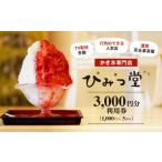 お食事券 ひみつ堂お食事券 3 000円分