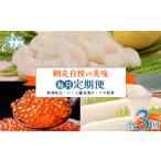 イカ 毎月定期便 網走自慢の美味定期便 刺身帆立
