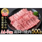 牛肉 ハンバーグ A4 A5等級 産黒毛和牛