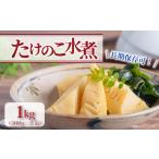 缶詰 瓶詰 野菜類 京都山城産 たけのこ水煮缶詰 1kg