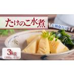 缶詰 瓶詰 野菜類 京都山城産 たけのこ水煮缶詰 3kg